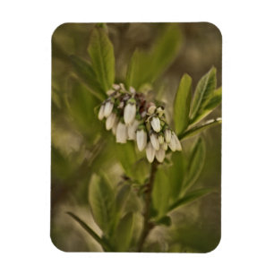 Magnet Flexible Blueberry 585