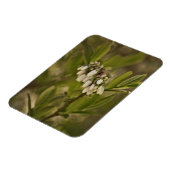 Magnet Flexible Blueberry 585 (Côté Gauche)