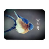 Magnet Flexible Bluebird (Horizontal)