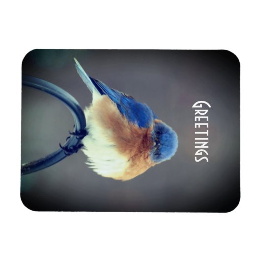 Magnet Flexible Bluebird (Horizontal)