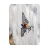 Magnet Flexible Bluebird oriental dansant dans la neige (Vertical)