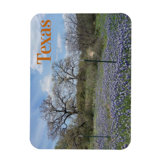 Magnet Flexible Bluebonnets à fleurs du Texas State (Vertical)