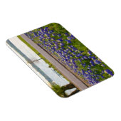 Magnet Flexible Bluebonnets au bord du lac (Côté Droit)