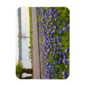Magnet Flexible Bluebonnets au bord du lac (Vertical)