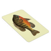 Magnet Flexible Bluegill Bream (Côté Droit)
