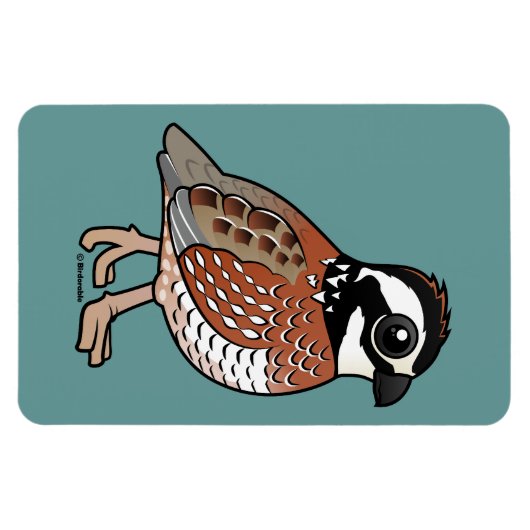 Magnet Flexible Bobwhite (Horizontal)