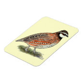 Magnet Flexible Bobwhite Quail (Côté Gauche)