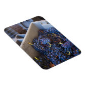 Magnet Flexible Bodega Marques de Riscal vignoble, raisins (Côté Droit)