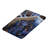 Magnet Flexible Bodega Marques de Riscal vignoble, raisins (Côté Gauche)