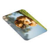 Magnet Flexible Boerbol (Côté Droit)