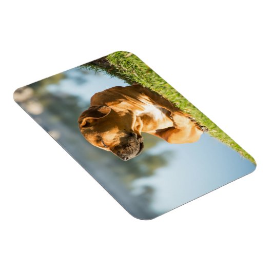 Magnet Flexible Boerbol (Côté Droit)