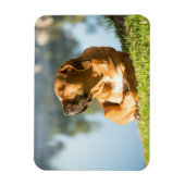 Magnet Flexible Boerbol (Vertical)