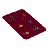 Magnet Flexible Bogues 2011 (Côté Droit)