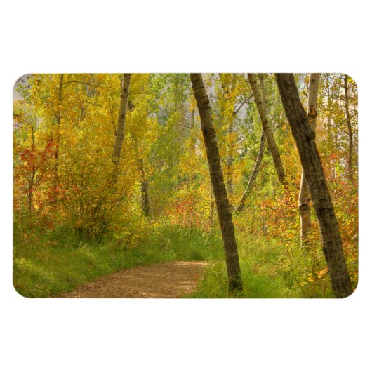 Magnet Flexible Bois d'automne (Horizontal)