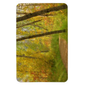 Magnet Flexible Bois d'automne (Vertical)