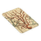 Magnet Flexible Bois et petit corail (Côté Droit)