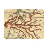 Magnet Flexible Bois et petit corail (Horizontal)