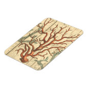 Magnet Flexible Bois et petit corail (Côté Gauche)