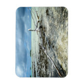 Magnet Flexible Bois mort dans l'aimant rectangulaire du Pacifique (Vertical)