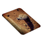 Magnet Flexible Boîtier Meerkat, Parc Drusillas (Côté Droit)