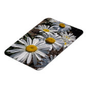 Magnet Flexible Bonnes marguerites matinales (Côté Gauche)