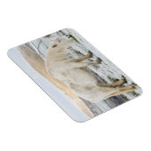 Magnet Flexible Bonnet blanc sur la Mer en hiver (Côté Droit)