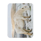 Magnet Flexible Bonnet blanc sur la Mer en hiver (Vertical)