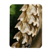 Magnet Flexible Bonnet de requin et dents (Vertical)