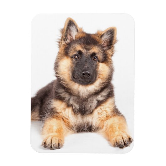 Magnet Flexible Bordure Collie Allemand Shepherd Mix (Vertical)