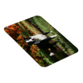 Magnet Flexible Bordure Collie Automne Debout (Côté Droit)
