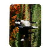 Magnet Flexible Bordure Collie Automne Debout (Vertical)