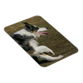 Magnet Flexible Bordure Collie Exécution 1 (Côté Droit)