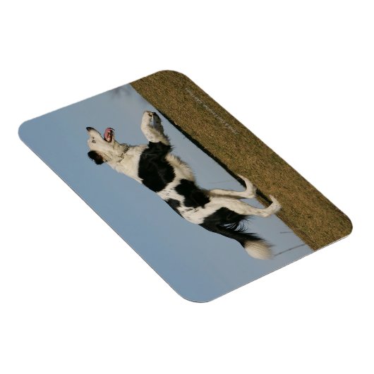 Magnet Flexible Bordure Collie Exécution 2 (Côté Droit)