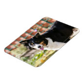 Magnet Flexible Bordure Collie Panne 1 (Côté Gauche)