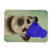 Magnet Flexible Bordure Terrier avec Casquette Bobble Bleu (Horizontal)