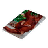 Magnet Flexible Bornéo orangoutan (Côté Gauche)