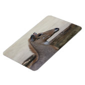 Magnet Flexible Boselaphus tragocamelus (Côté Gauche)