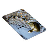 Magnet Flexible Boston - Faites place aux colliers (Côté Droit)