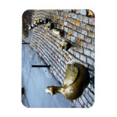 Magnet Flexible Boston - Faites place aux colliers (Vertical)