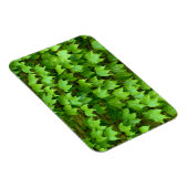 Magnet Flexible Boston Ivy (Côté Droit)