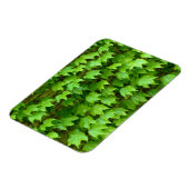 Magnet Flexible Boston Ivy (Côté Gauche)