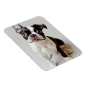 Magnet Flexible Boston Terrier (Côté Droit)