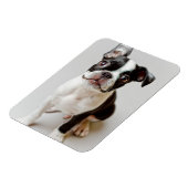 Magnet Flexible Boston Terrier (Côté Gauche)