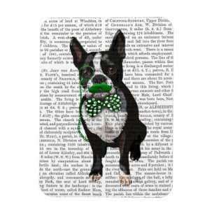 Magnet Flexible Boston Terrier Avec Moustache Verte Et Pot