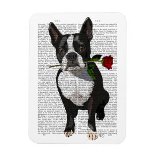 Magnet Flexible Boston Terrier avec Rose dans la bouche