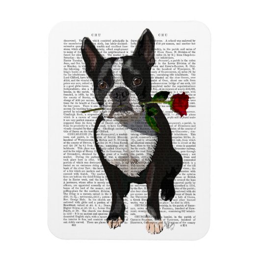 Magnet Flexible Boston Terrier avec Rose dans la bouche (Vertical)