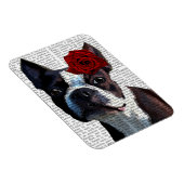 Magnet Flexible Boston Terrier avec Rose sur Head (Côté Droit)