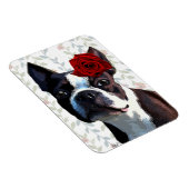 Magnet Flexible Boston Terrier avec Rose sur Head 2 (Côté Droit)