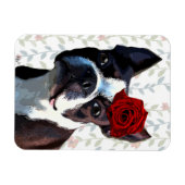 Magnet Flexible Boston Terrier avec Rose sur Head 2 (Horizontal)