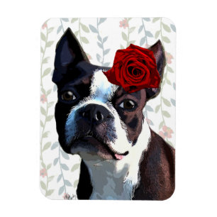 Magnet Flexible Boston Terrier avec Rose sur Head 2